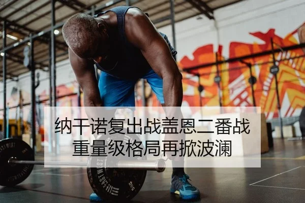 纳干诺复出战盖恩二番战 重量级格局再掀波澜